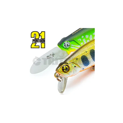 Pontoon21 Preference Shad 55SP-SR A50 image 1