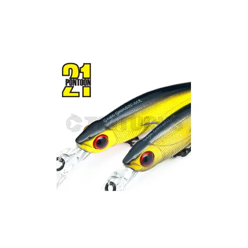 Pontoon21 GagaGoon 60S-MR 60 mm vobleris R30 Funa image 2