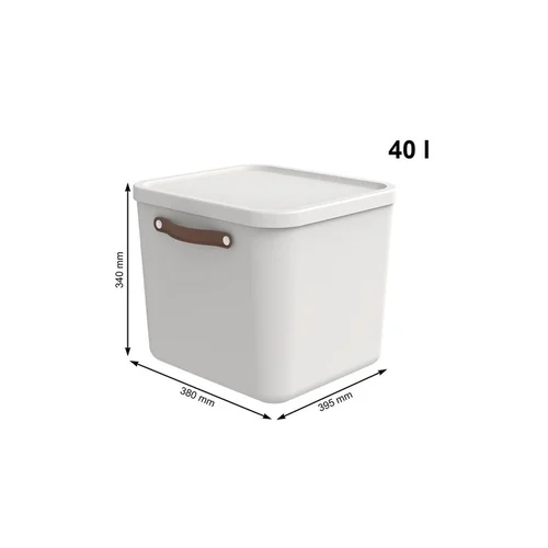 Rotho Maloja 40 L daiktadėžė, balta image 2