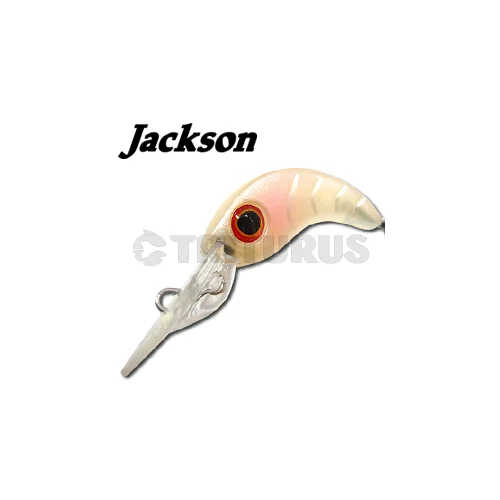 Jackson CLARA MR SP 30 mm KRG image 1
