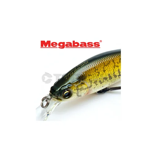 Megabass X-80 TRICK DARTER SF KAWAMUTSU 80,5 mm image 2