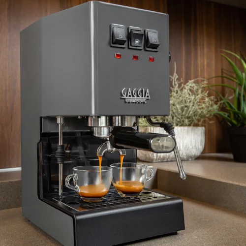 Gaggia Classic Evo RI9481/16 pilkas image 2
