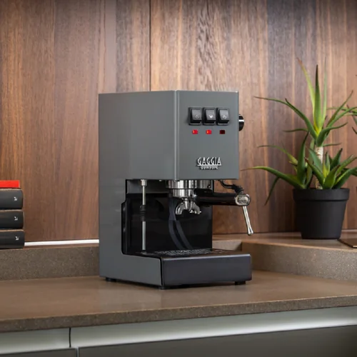 Gaggia Classic Evo RI9481/16 pilkas image 3