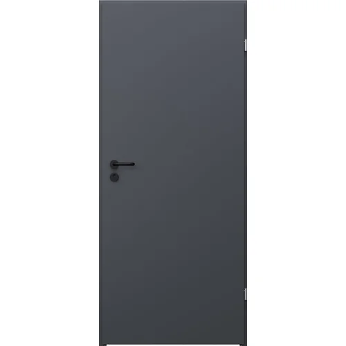 DURYS PLIEN BASIC RAL7024 852×2030×40 D image 1