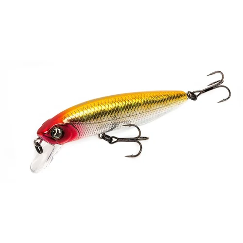Pontoon21 Dexter Minnow 93SP-SR vobleris 93 mm, 13,5 g image 2
