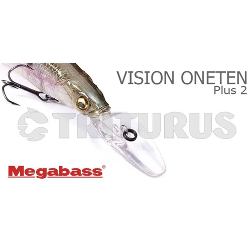 Megabass VISION ONETEN R+2 110 mm 14 g GG MEGABASS KINKURO image 2