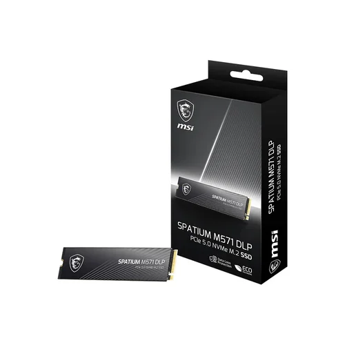 MSI SPATIUM M571 DLP 2 TB SSD image 1