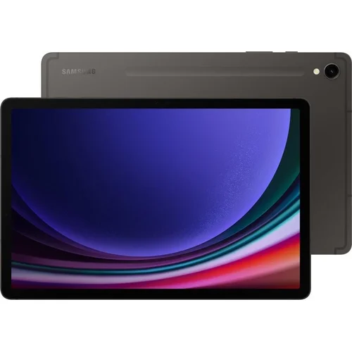 Planšetė Samsung Galaxy Tab S9 WiFi Pilka 11 in 8GB/128GB image 2