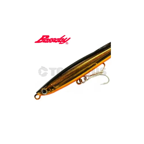 Bassday Bungy Cast 100 mm 30 g P-55 image 1