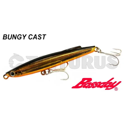 Bassday Bungy Cast 100 mm 30 g P-55 image 2