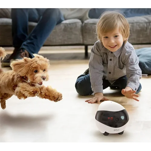 Enabot EBO SE robotas image 3