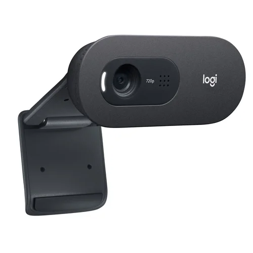 Logitech C505 HD internetinė kamera image 2