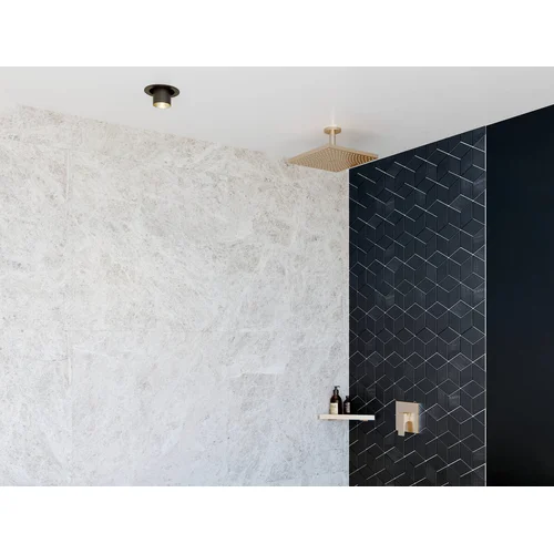 Hansgrohe AddStoris 41741990 kampinė lentyna dušui, poliruoto aukso image 3
