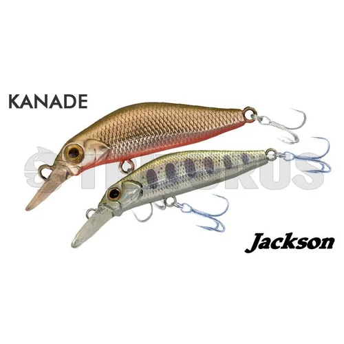 Jackson KANADE 60 mm, 8 g, CCA image 2