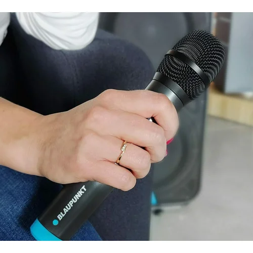 Blaupunkt WM60UDB belaidžių mikrofonų rinkinys image 3
