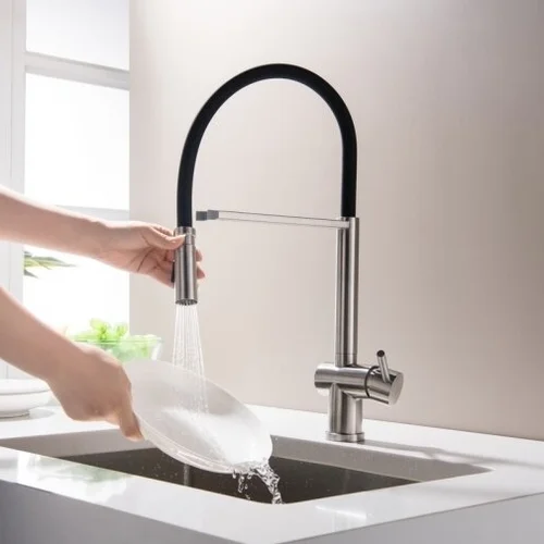 Blue Water Cori Virtuvinis maišytuvas dviejų funkcijų dušeliu image 1