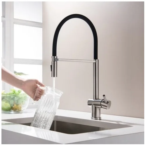 Blue Water Cori Virtuvinis maišytuvas dviejų funkcijų dušeliu image 2
