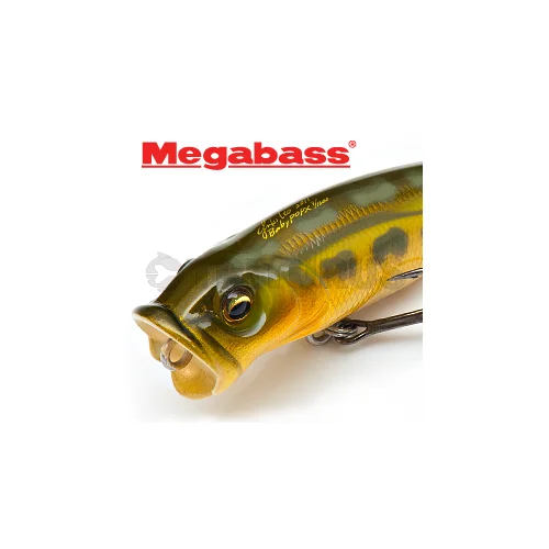 Megabass BABY POP-X 50 mm AKA TORA poperis image 2