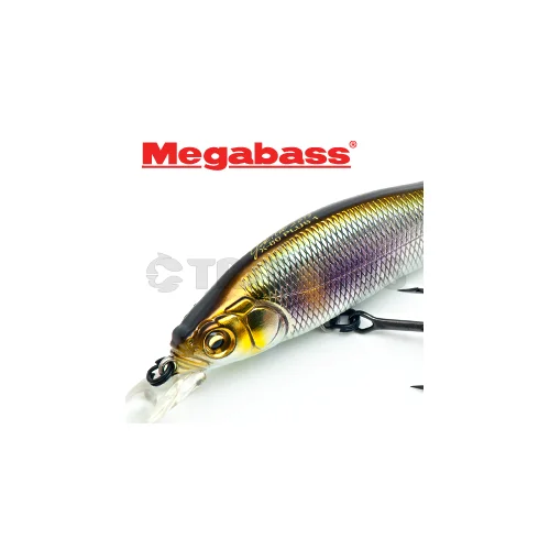 Megabass X-80 PLUS 1 LZ TOUGOROU IWASHI 80,5 mm image 1