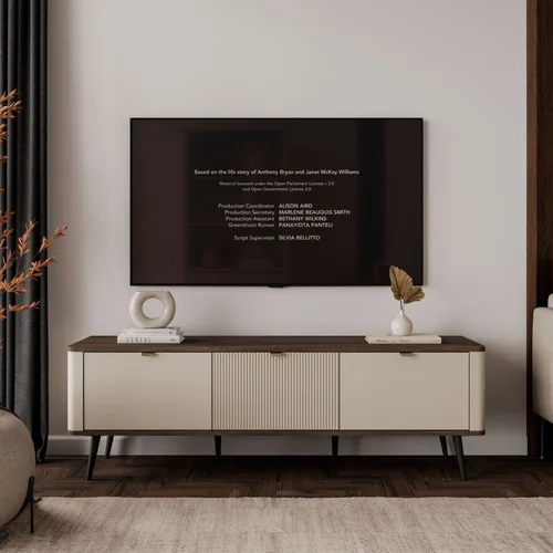 AUTUMN160 TV spintelė, 160 cm, kašmyro ir rudos spalvos image 3