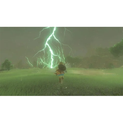 Nintendo Legend Of Zelda: Breath Of The Wild Nintendo Switch image 3