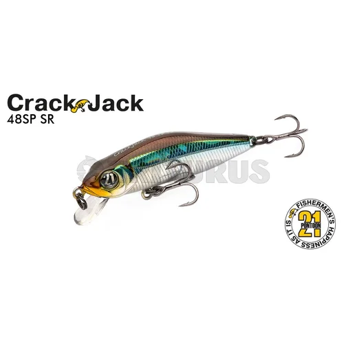 Pontoon21 CrackJack 48SP-DR R37 Flashing Chartreuse image 3