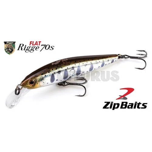 ZipBaits Rigge Flat 70S 70 mm, 8 g, 487 image 1
