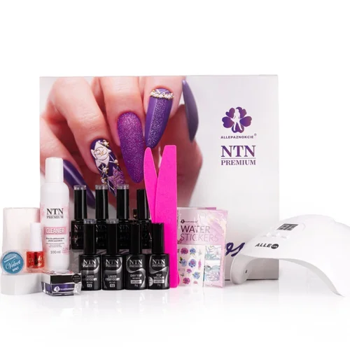 NTN PREMIUM Perfect Box gelinio lakavimo rinkinys su UV/LED lempa image 1