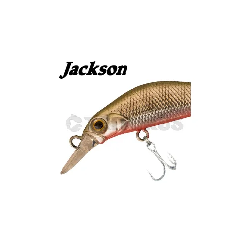 Jackson KANADE 60 mm CGR masalas image 1