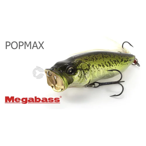 Megabass POPMAX GG Chart Back Bass 78 mm image 3