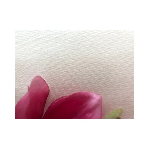 VELVET vienkartiniai popieriniai rankšluosčiai 70 × 40 cm, 100 vnt. image 2