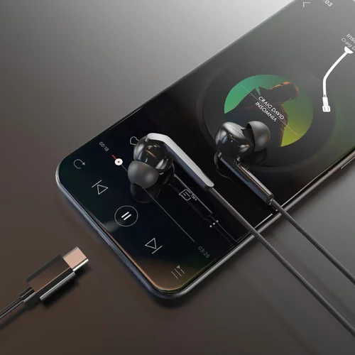 Dudao X3C+ USB-C ausinės Juodos image 2