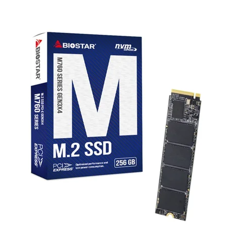 Biostar M760 256 GB M.2 SSD image 1