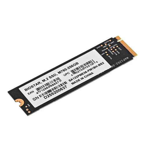 Biostar M760 256 GB M.2 SSD image 3