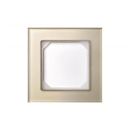 Vienvietis rėmelis LIREGUS EPSILON, šampano spalvos stiklas image 1