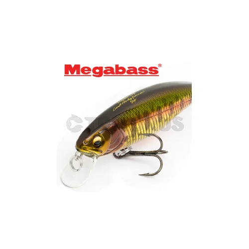 Megabass Great Hunting Minnow World Spec 48F 48 mm Gold Yamame image 1