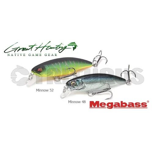 Megabass Great Hunting Minnow World Spec 48F 48 mm Gold Yamame image 2