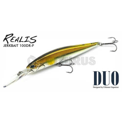 DUO Realis Jerkbait 100DR-F D17 100 mm image 2