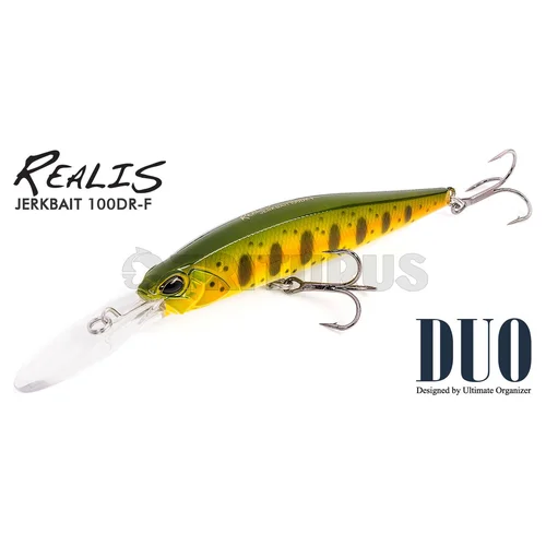 DUO Realis Jerkbait 100DR-F D17 100 mm image 3