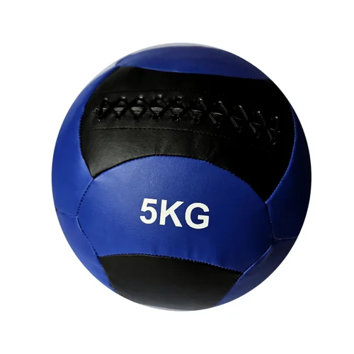 THOMS Wall Ball 5 kg image 1