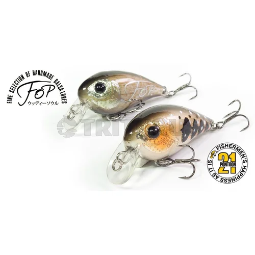 Pontoon 21 FOP 32F SR Yamame Original image 2