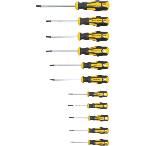 BGS Do it Yourself 7845 TORX atsuktuvų rinkinys T6–T40, 11 vnt. image 3