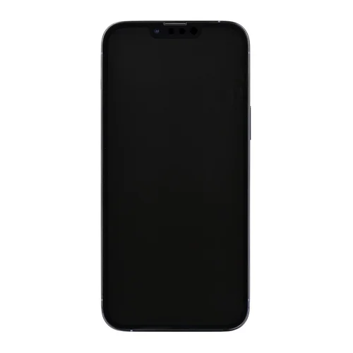 Apple iPhone 13 Pro Max 6,7 col. 256 GB mėlynas, atnaujintas image 1