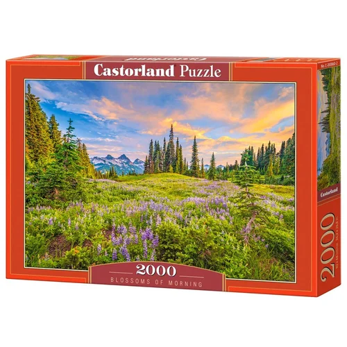 Kardinasčių žiedai ryte, 2000 detalių dėlionė image 1