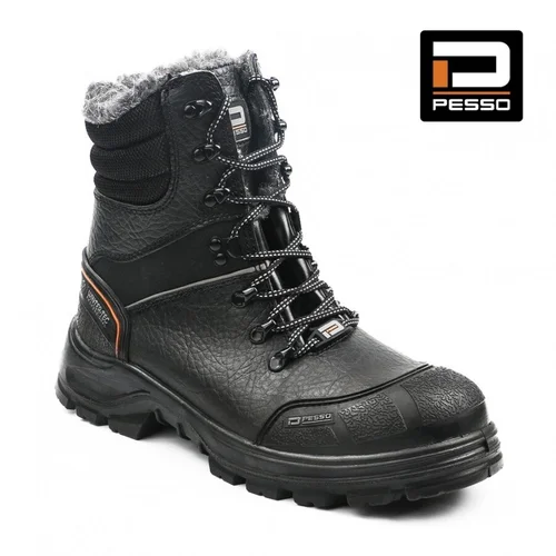 PESSO POLARIS S3 SRC 46 image 1