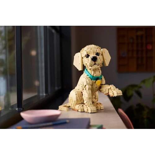 Konstruktorius LEGO® Icons Golden Retriever Puppy 11384, 2102 vnt. image 3