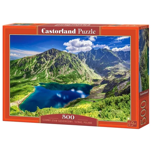 Castorland B-54053, 500 detalių dėlionė image 1