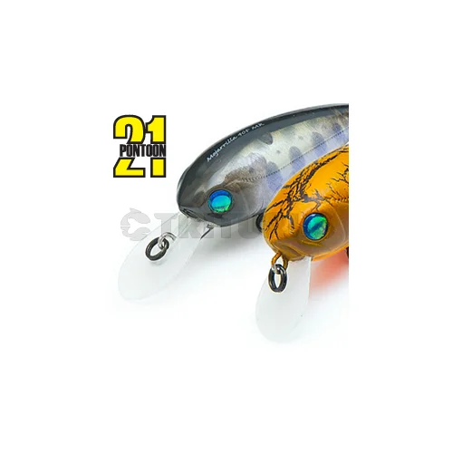 Pontoon21 Mojarrilla 40F MR 900 AI Wakasagi HM image 1