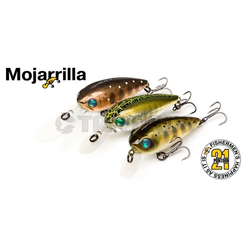 Pontoon21 Mojarrilla 40F MR 900 AI Wakasagi HM image 2