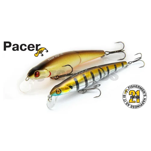 Pontoon21 Pacer 90JF SR 90 mm image 2